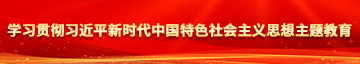 大逼AV学习贯彻习近平新时代中国特色社会主义思想主题教育